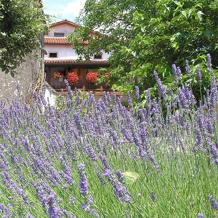 Pliskovica Youth Hostel エクステリア 写真