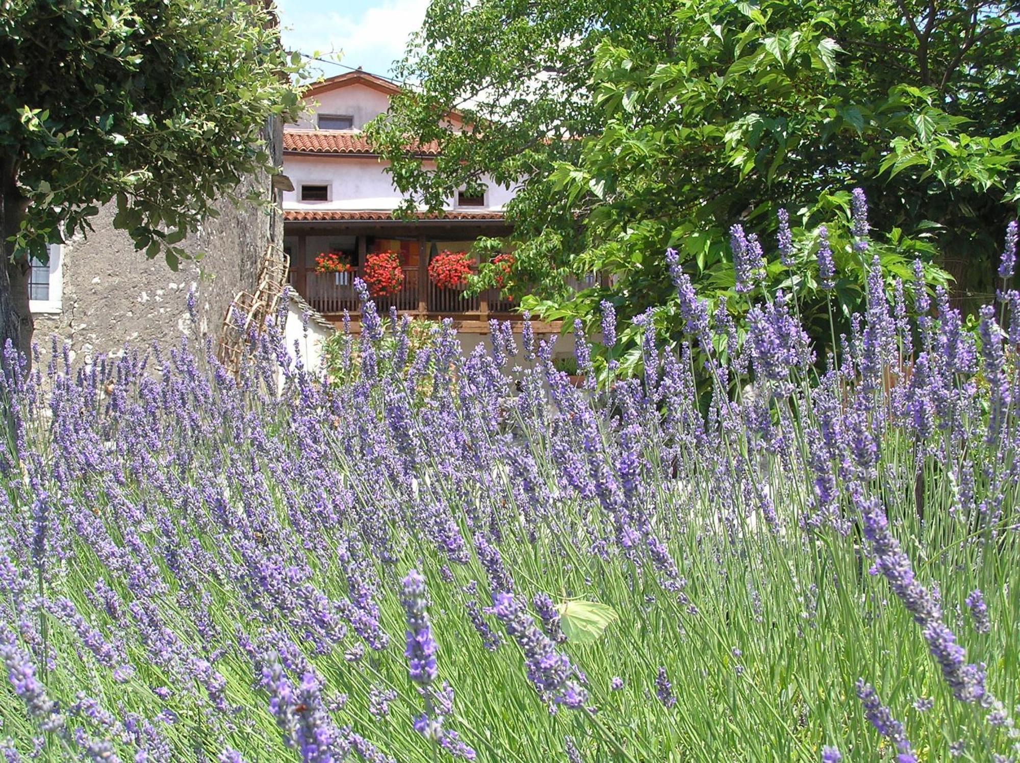 Pliskovica Youth Hostel エクステリア 写真