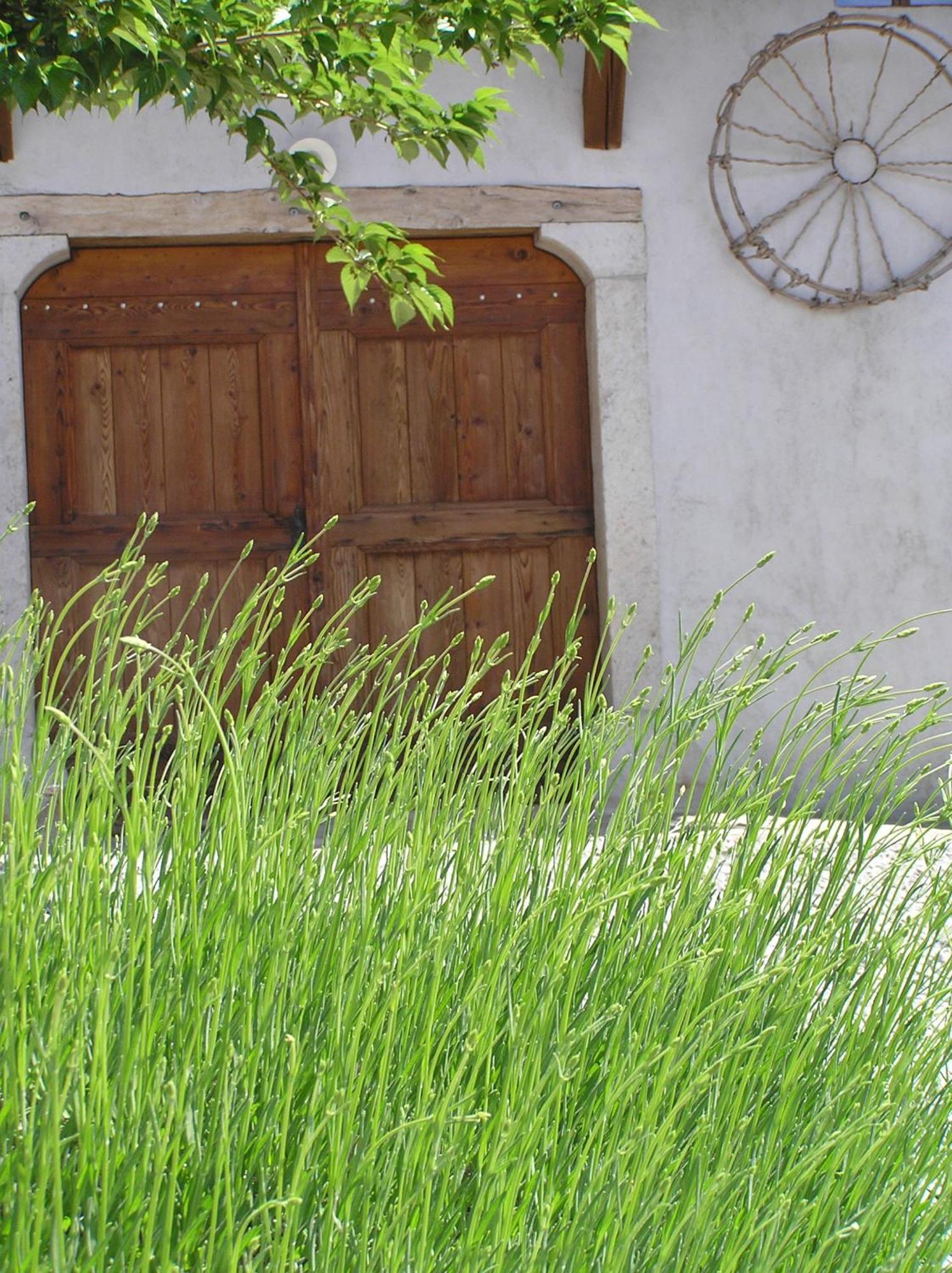 Pliskovica Youth Hostel エクステリア 写真